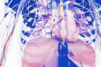 create realistic 3d medical animation and surgical video