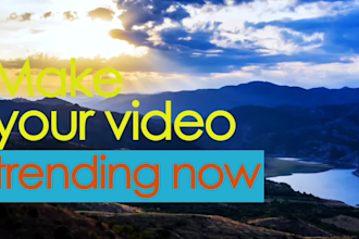 do professional video editing within 24 hours