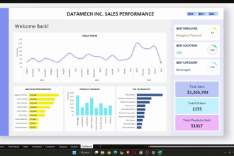 design and build attractive excel template, excel dashboard