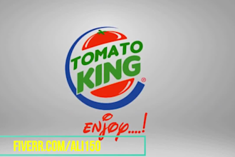 create 20 amazing  logo intro animation videos within 24 hrs