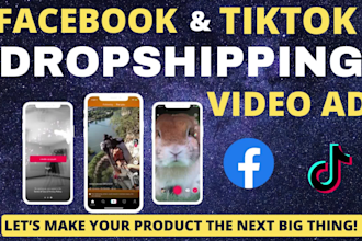 create viral tik tok video ads, dropshipping video ads for facebook and tik tok