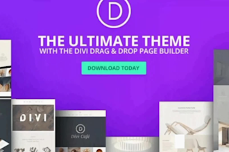 design divi wordpress website with divi theme