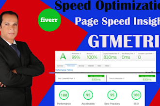 speed up your website on google pagespeed insight, gtmetrix report
