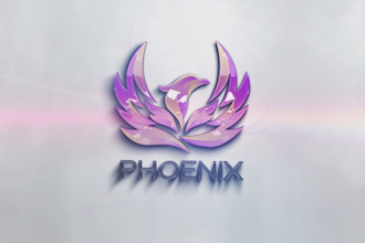do stunning custom logo animation intro and or outro