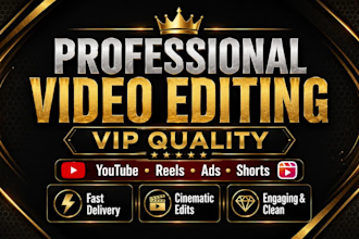 provide professional video editing within 24 hours