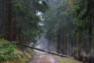 make 3hour HD relaxing rain thunder and nature sounds videos