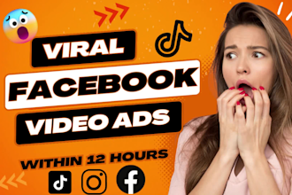 make shopify dropshipping facebook video ads within 12 hours