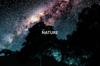 produce a cinematic brand commercial video or promotional video