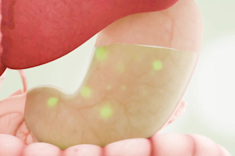 3d medical animation 3d video animation medical animation for explainer videos