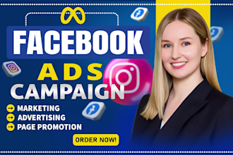 set up facebook and instagram ads for leads and sales