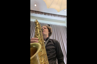 record pro level alto, tenor, soprano sax solos or melodic lines for your music