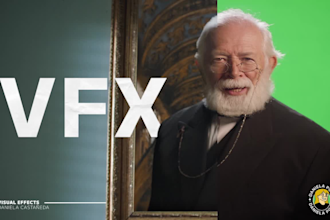 do vfx clean up, screen or product replacement, rotoscoping