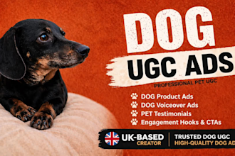 create pet ugc videos, UK dog ugc with a mini dachshund