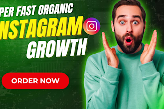 do super fast organic instagram growth and manual promotion