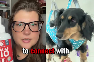 create engaging pet ugc content for your pet brand