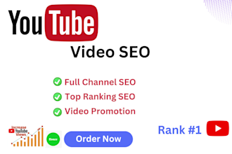 do youtube video SEO and channel manager in USA and UK