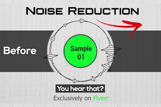 do noise reduction to reduce background noise,echo and clean up audio and video