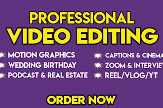 do professional video editing, youtube videos, short clips, motion graphics
