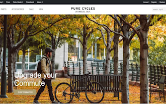 install wordpress, setup theme, import demo and do wordpress customization