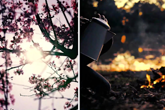 do expert video editing for promo videos, facebook, dropshipping and corporate