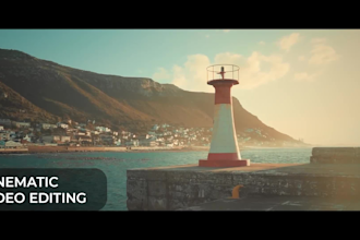 do professional video editing, youtube shorts, instagram reels and tiktok fast