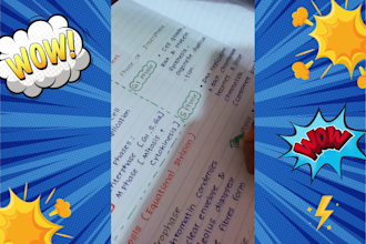 write neat handwritten study notes, letters and assignments