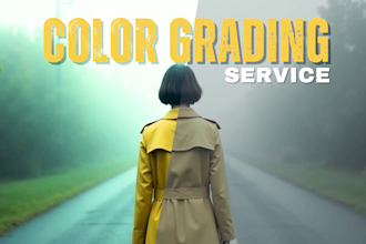 do professional video color grading for film and more