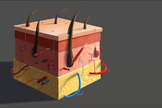 do medical, anatomy, surgical animation, science, illustration explainer video