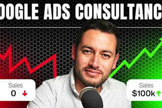 do 1 on 1 google ads consultancy