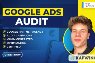 audit your google ads adwords PPC campaign