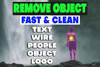 remove object from video within 24 hours
