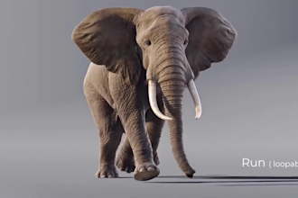 create realistic 3d animal animation, 3d creatures design, animal animation