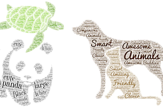 create professional and personal word cloud art