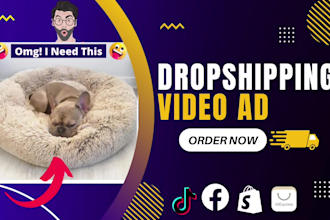 make shopify facebook video ads for dropshipping products
