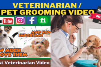 do a veterinarian portrayal promo video or dog grooming for pet product