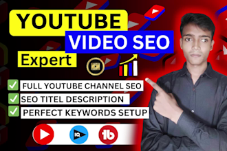 do best youtube video seo expert with vidiq for top ranking