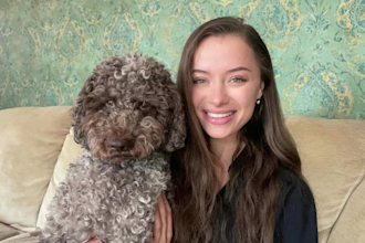 create dog product ugc video content and photos