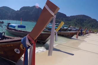 cut,merge,editing background,size,color,v professional video