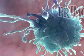 create a professional moa 3d medical animation for your drug or therapy