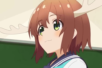 quality 2d anime animation, pirate animation, japanese anime style, lofi video