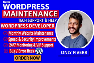 instant website manager wordpress maintenance support help edit fix update