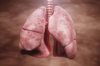 do 3d medical animation, 3d medical video, 3d anatomy, surgery animation