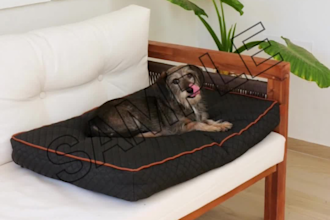 make an ad of your dog pet product with cute dogs