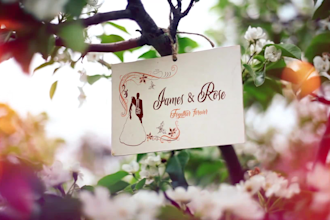 do wedding invitation save the date anniversary video