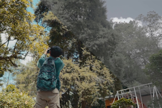 color grade your videos professionally as a colorist