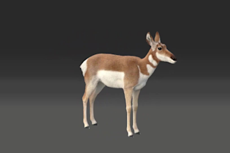 create 3d animal creatures model, 3d animal animation, character rigging