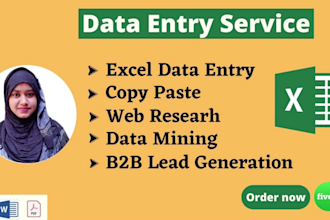 provide fastest excel data entry collection data typing internet research