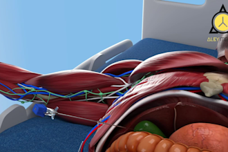 create 3d medical animation for you