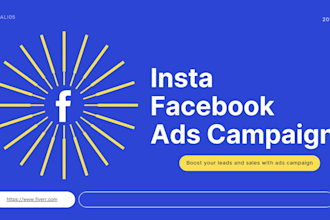 setup facebook and insta ads campaign for leads and sales