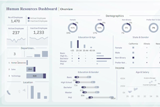 design professional tableau dashboards and reports